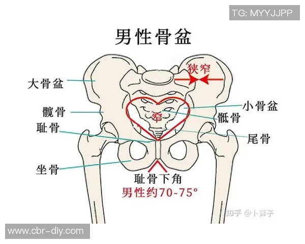 医生解析耻骨炎对亚马尔的影响及其过度使用损伤的成因与后果